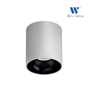 Waterprof Surface Downlight โคมไฟดาวน์ไลท์ ติดลอย กันน้ำ IP65 LED 10W/20W/30W